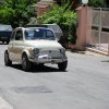 Burgio_2009 (516)